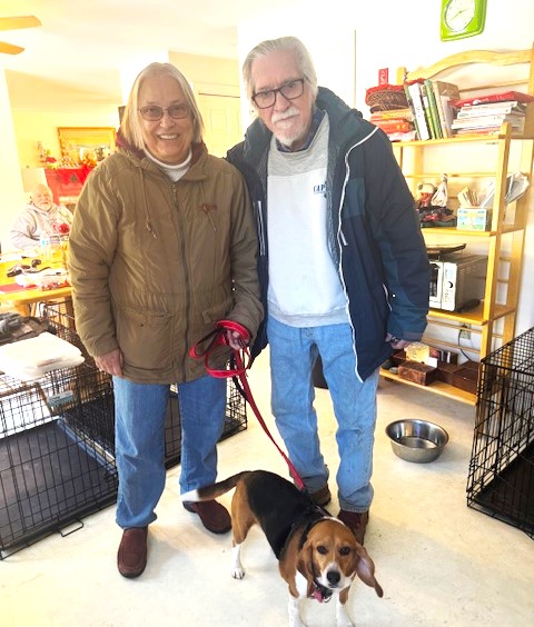 B.O.N.E.S. Beagles tweet media