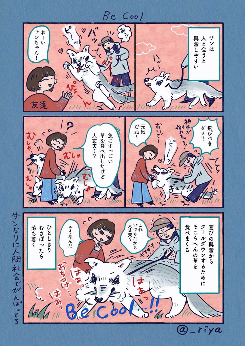 riya / 書籍「おおかみいぬのサン」3/31発売 tweet media