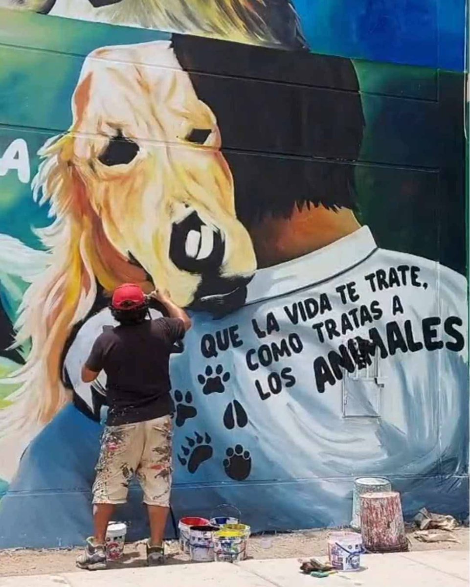 Arte Callejero 🕊️🌹

Más Murales así hacen falta en todo lugar, creando conciencia contra ese cruel acto como es el maltrato y el abandono de un ser indefenso... 🐾🎗️❤️