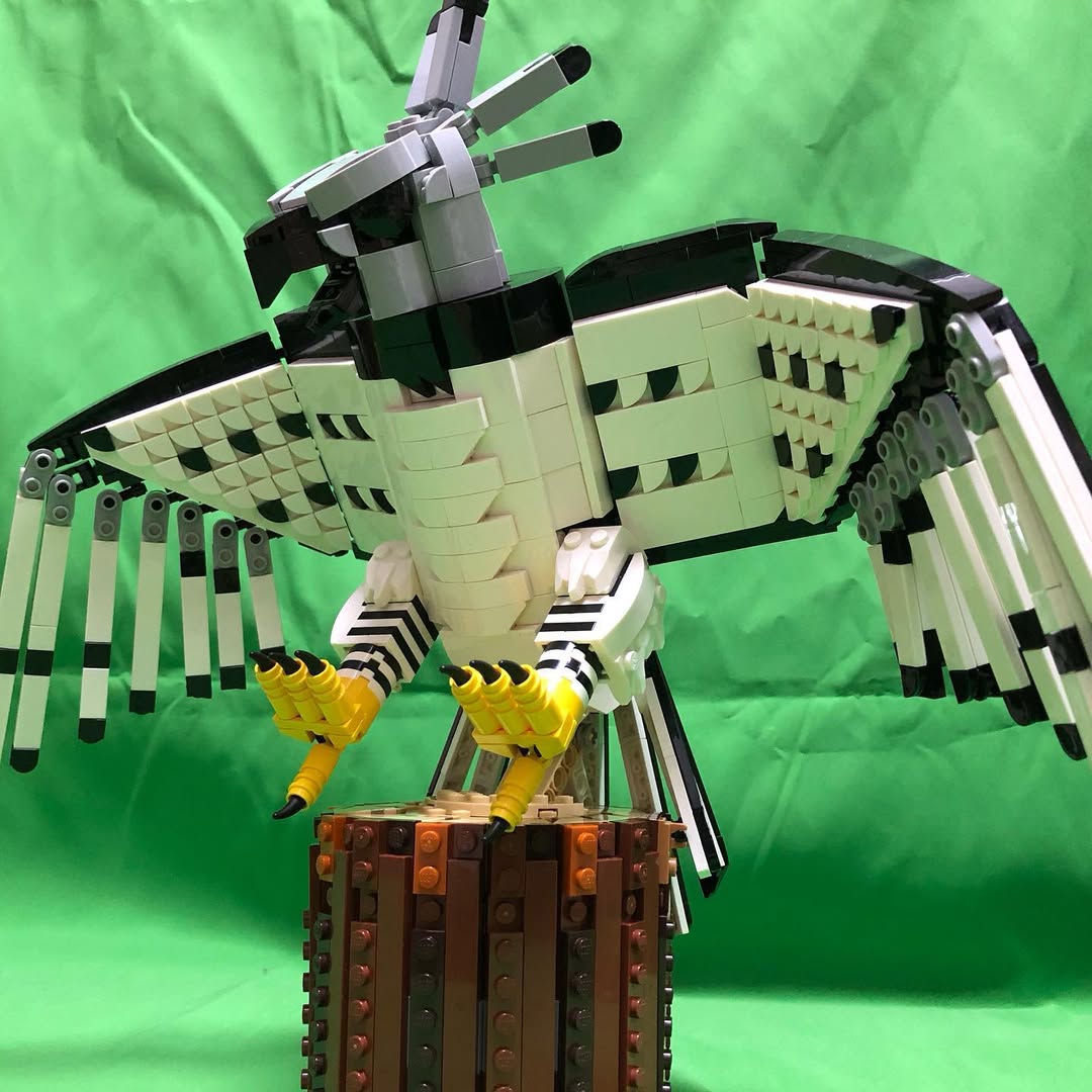 lgmbricks's tweet image. Harpy Eagle Lego Moc Build
.
Please Follow
👉credit makoto_lake | Instagram
.
Instruction Available 
👉makoto_lake | rebrickable
.
.
Please follow for new sets and news.
👉 instagram.com/lgm.bricks

#lego #afol #moc #legobird