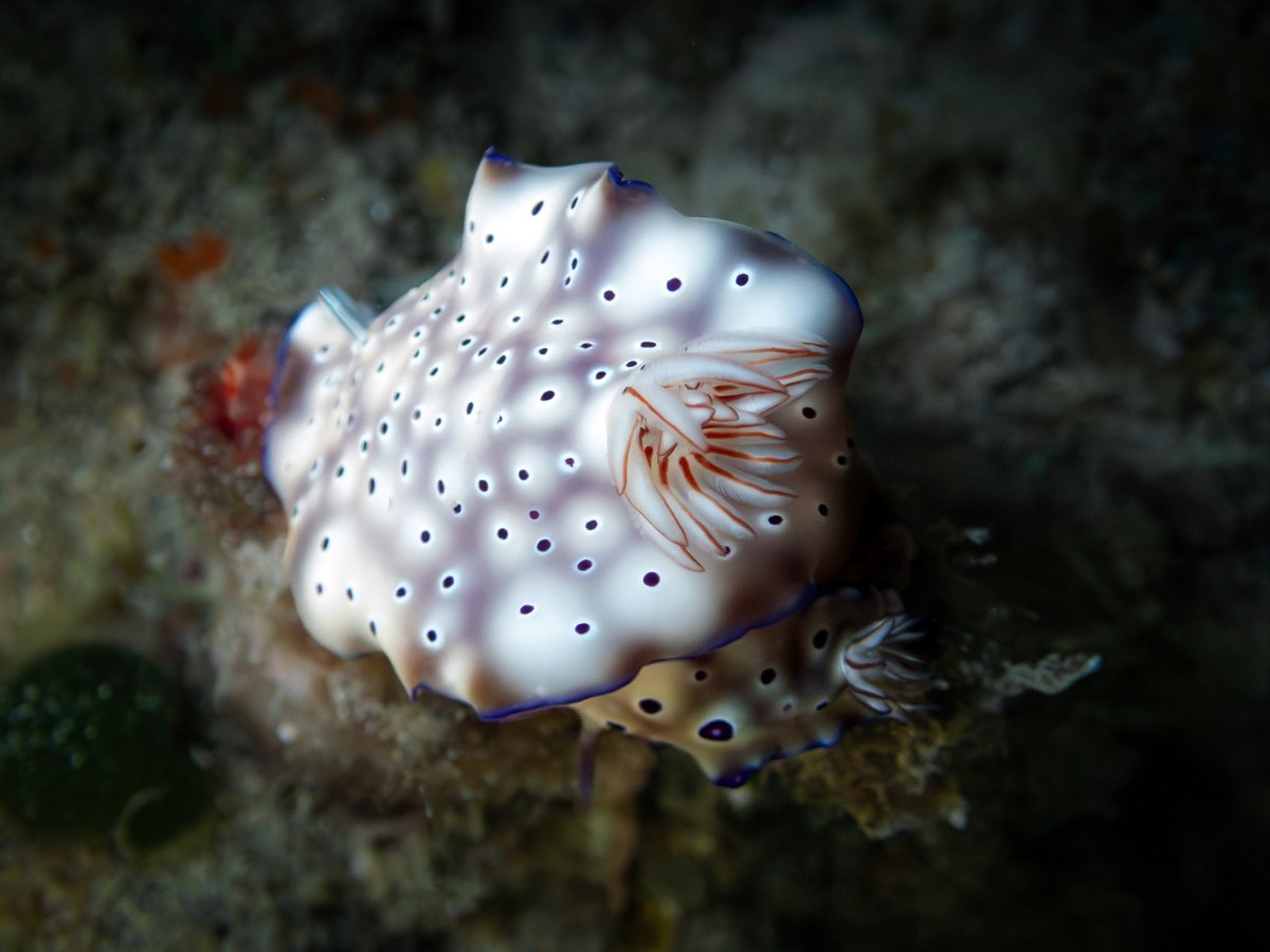 Warren Prior tweet media