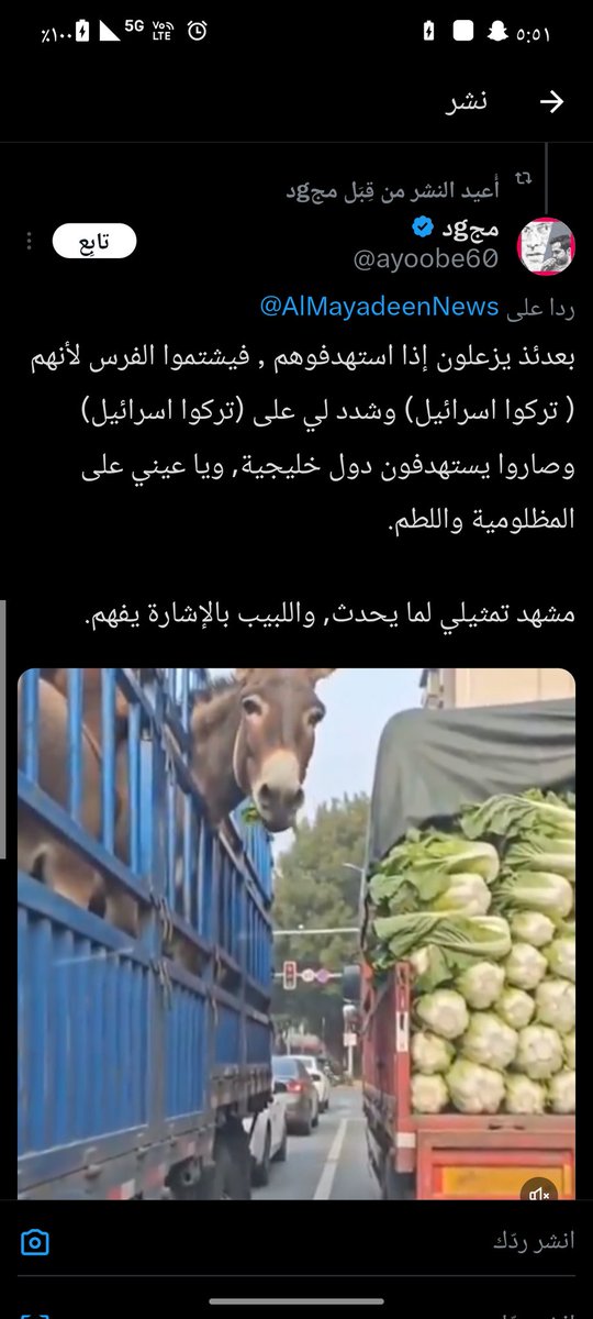 mf_544's tweet photo. المفروض مثل هاذي العينات تحاسب من سكان البحرين @mia_bahrain https://t.co/C1spHgN1us