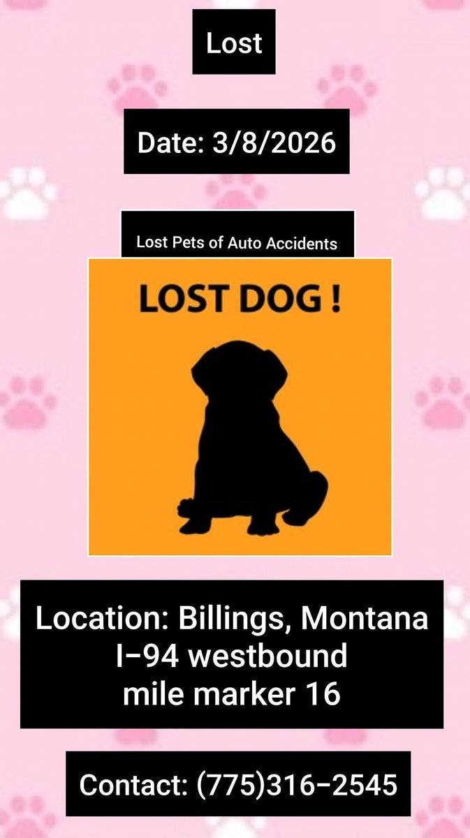 Black Lab 'Lola" was in a car accident and ran off 3/8/26
Near #Billings
On I-94 westbound at mile marker 16
Female
Last seen wearing a Purple collar w leash
* Currently do not have a photo
Please contact (775)316-2545 w any sightings
facebook.com/share/p/1BzcNw…
#Montana #MT #Lostdog