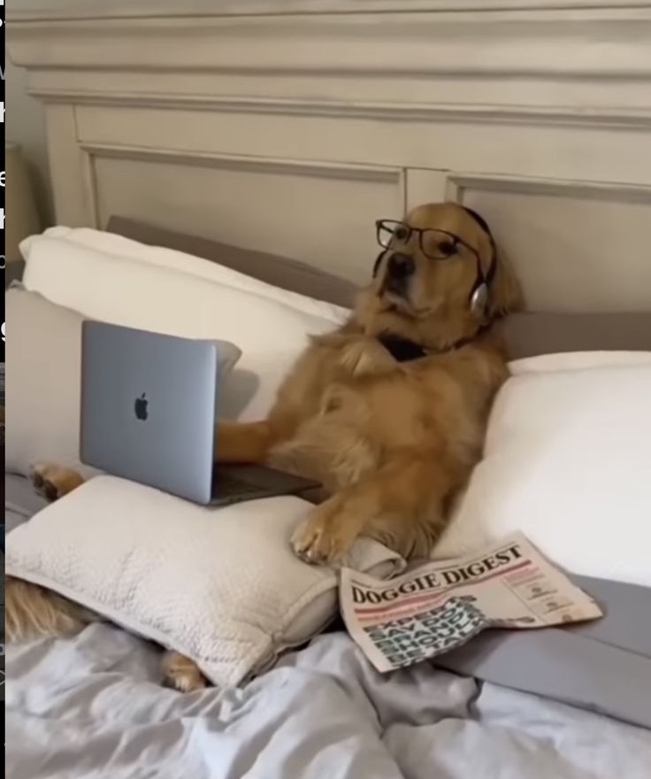 Ing. Lelouch tweet media