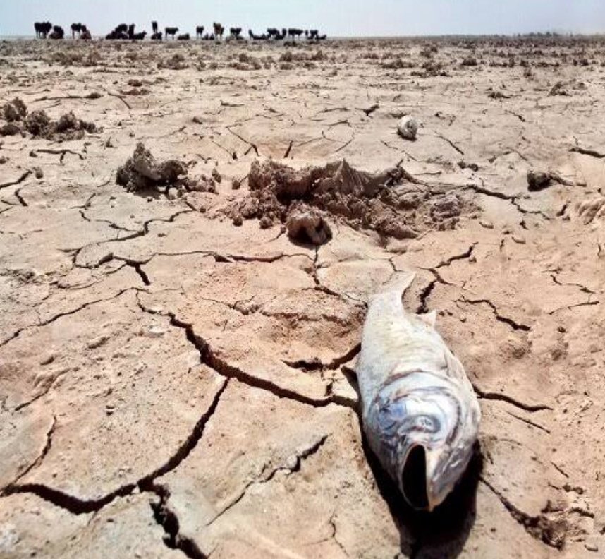 Rei 🇮🇷 tweet media