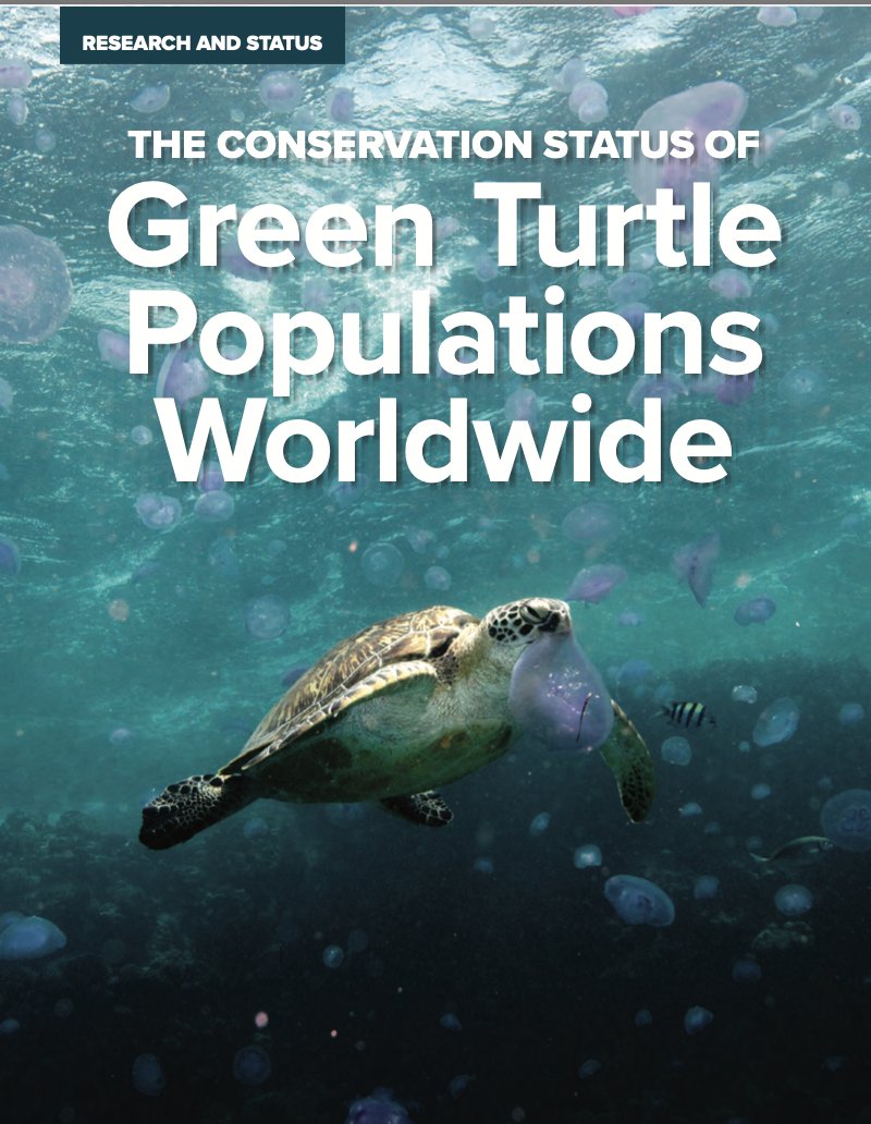 JustseaFound's tweet photo. Read the complete summary of the Conservation Status of Green Turtle Populations Worldwide in this recently published article by The State of the World’s Sea Turtles:

https://t.co/Wd1wLYoUMh https://t.co/iDAvj5dSxf