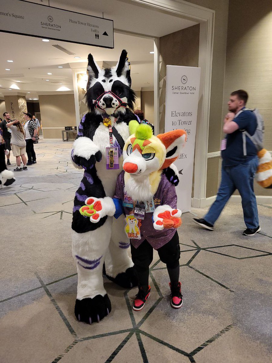 Archie 🔜 LVFC tweet media