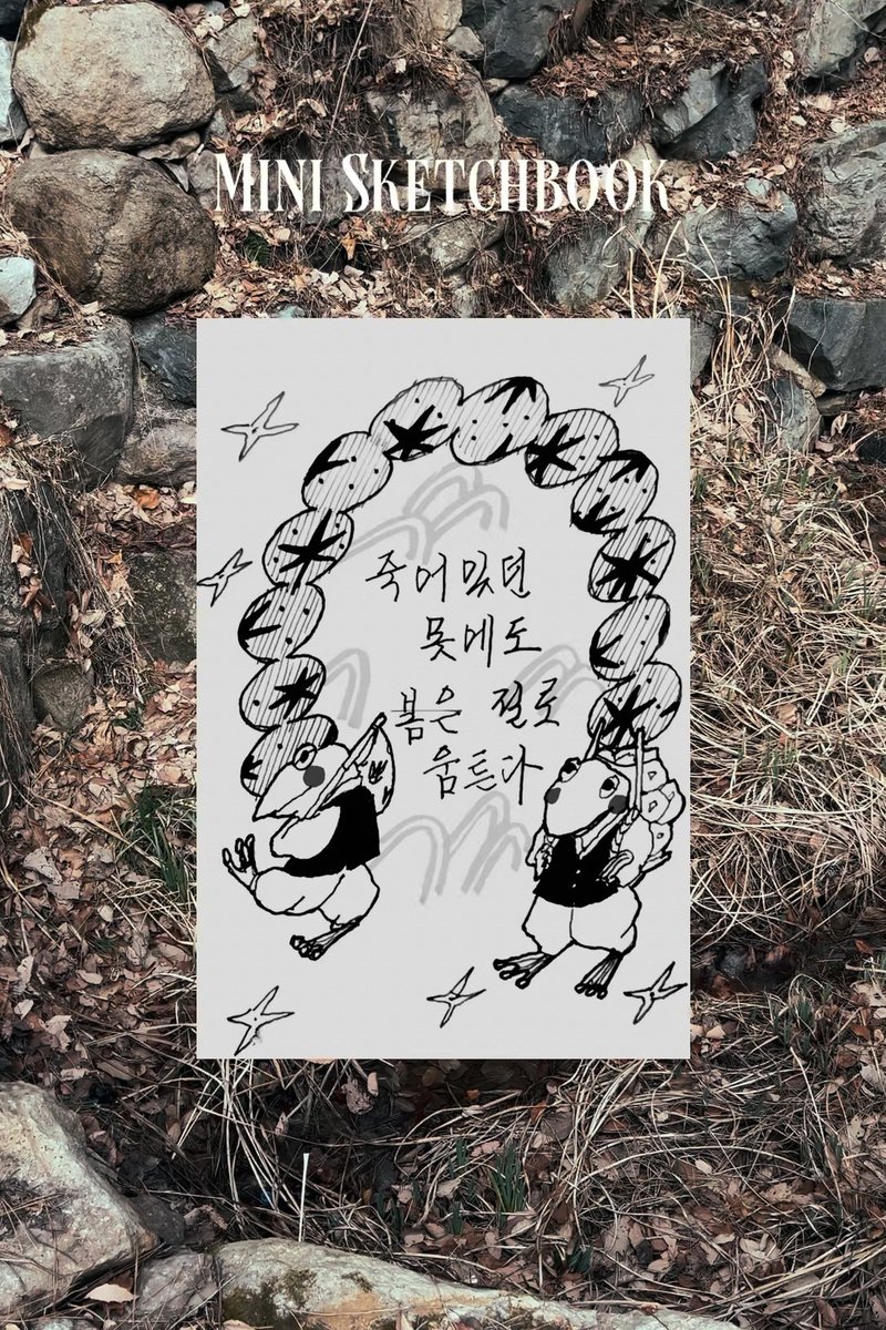 송연조 tweet media