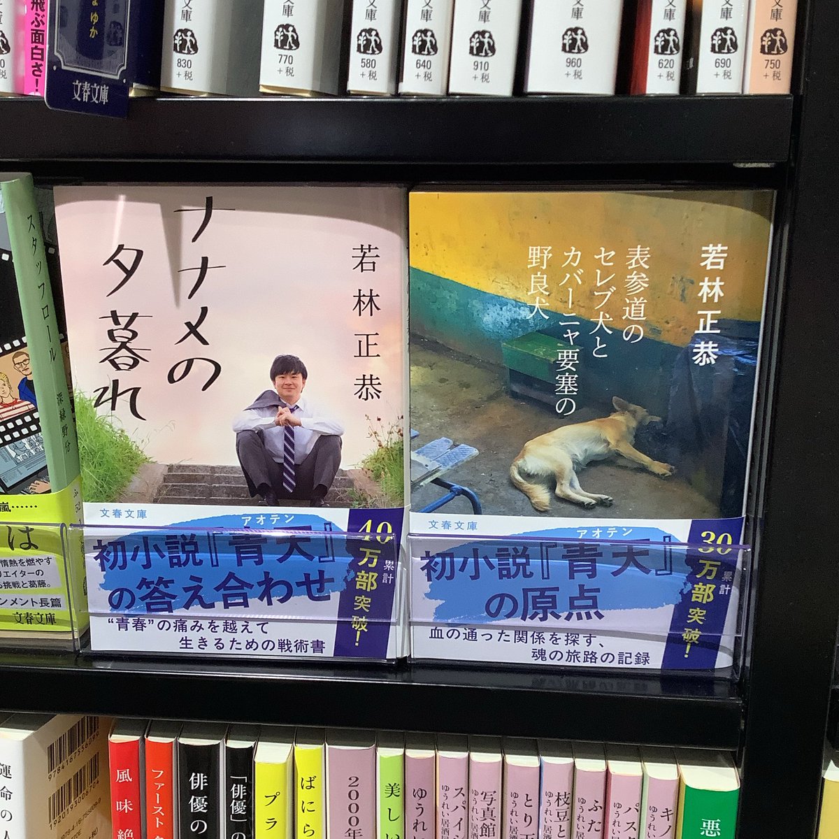 【名取店】
「青天」が話題のオードリー若林さんですが、こちらの『表参道のセレブ犬とカバーニャ要塞の野良犬』もおすすめです！

単なる旅の記録本かと思いきや、日々の悩み、家族のこと…読んでいてジーンとくる場面がたくさんありました。

売場の隣には「ナナメの夕暮れ」も✨
#未来屋書店名取店