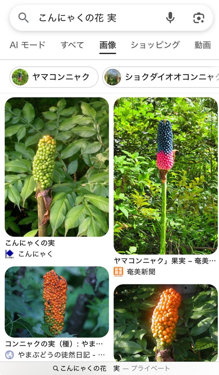 まっそん tweet media