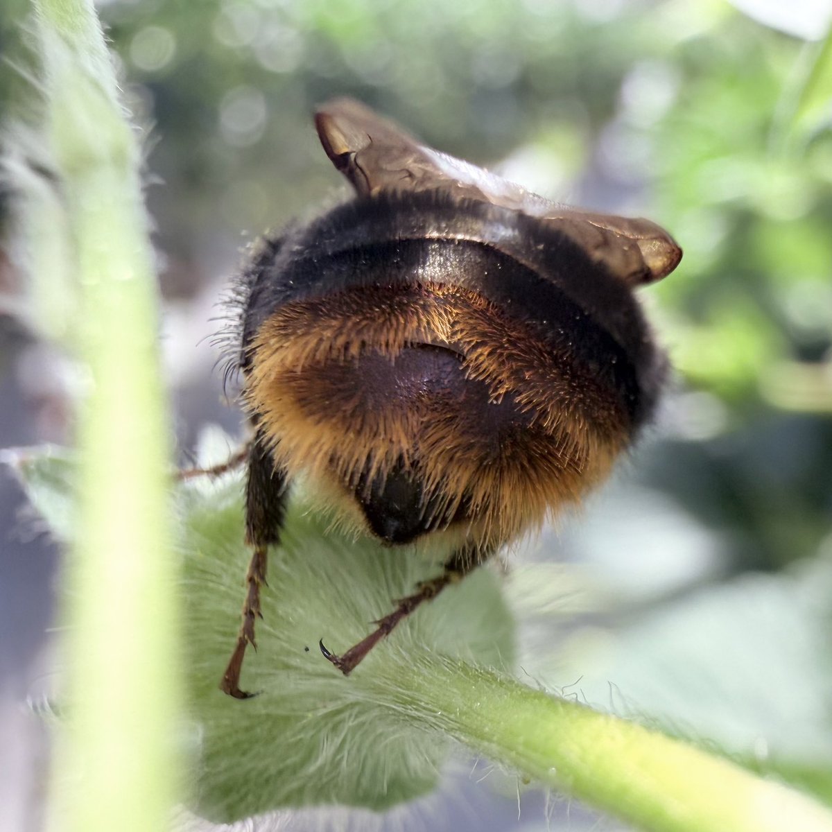 クスさん tweet media