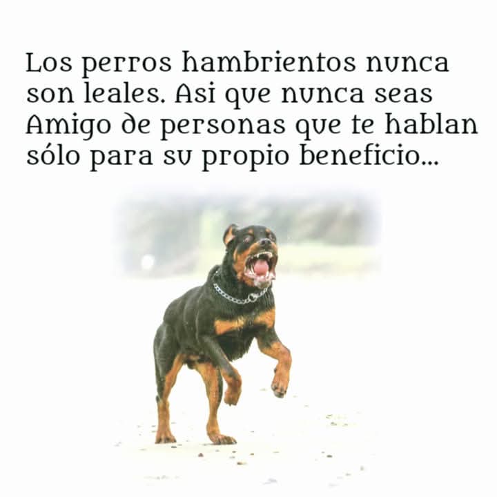 El Viejo Sabroso tweet media