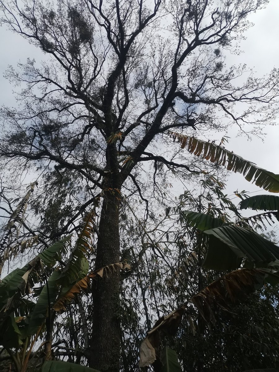 leesa.cheng（互fo） tweet media