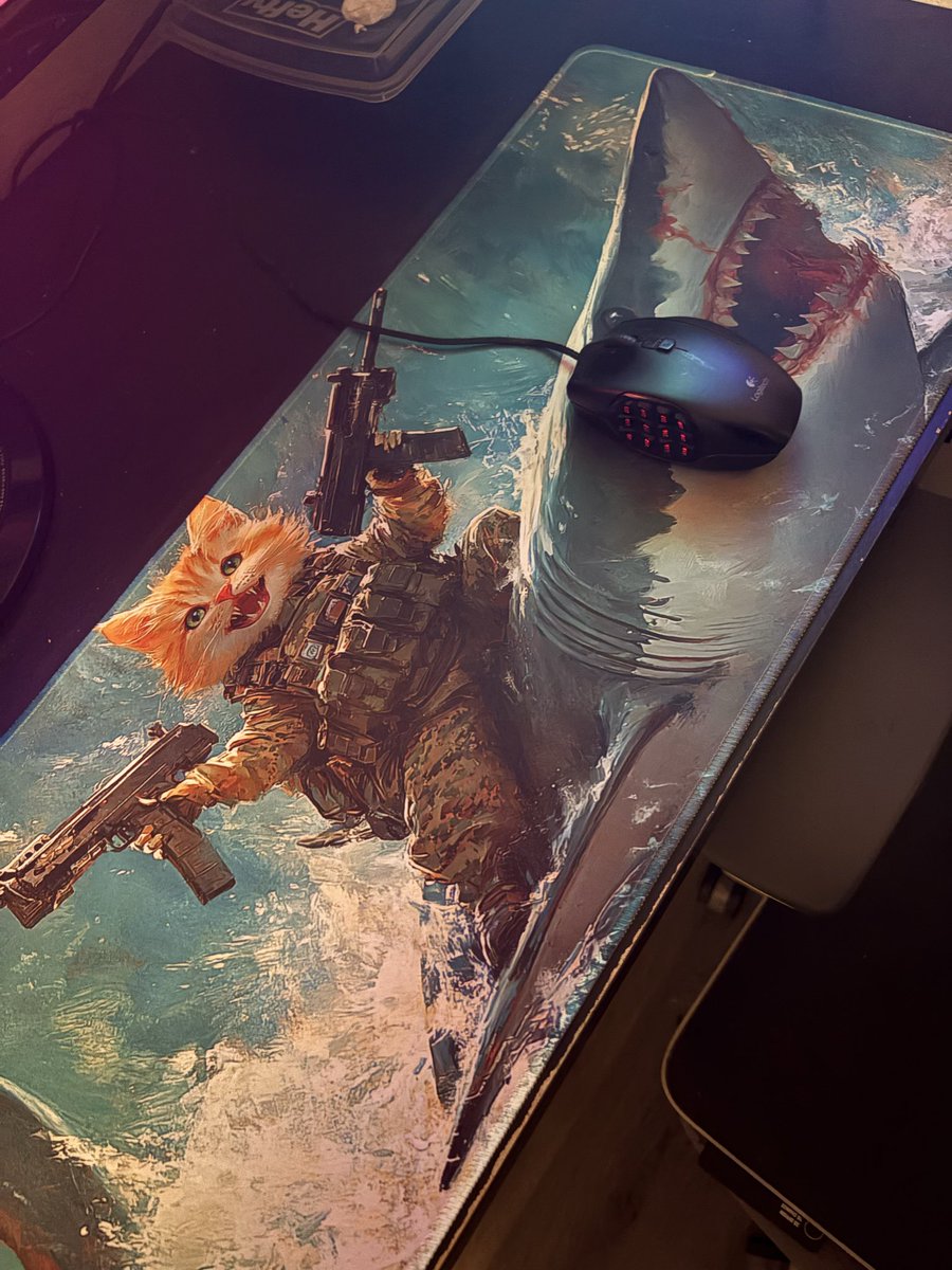 EvilPizzaCat's tweet photo. New mouse pad came in ☠️ https://t.co/GJlublfxRt
