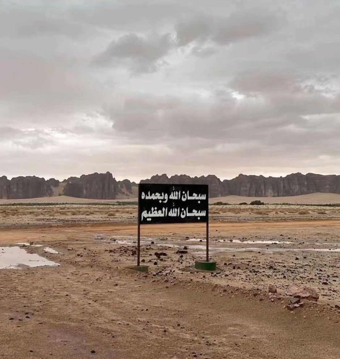 متعب tweet media