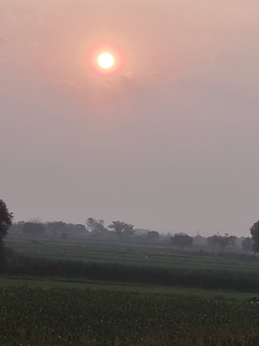 PROMOTION TIME🚨💥🎉

100+ followers in 20min 🔥🔥 Comment Your IDS🔥
I will Promote You 💯

Must follow <a href="/Salaar_johnwick/">Lemonuuu 🦖🕉️</a>
<a href="/JohnwickSalaar/">Salaar_Johnwick</a>
And comment  lekapotha no promotion 🔥👍🏽
Rt and like must 💯✅

No REPOST 🤜🤛 No Promotion 🫂🔥