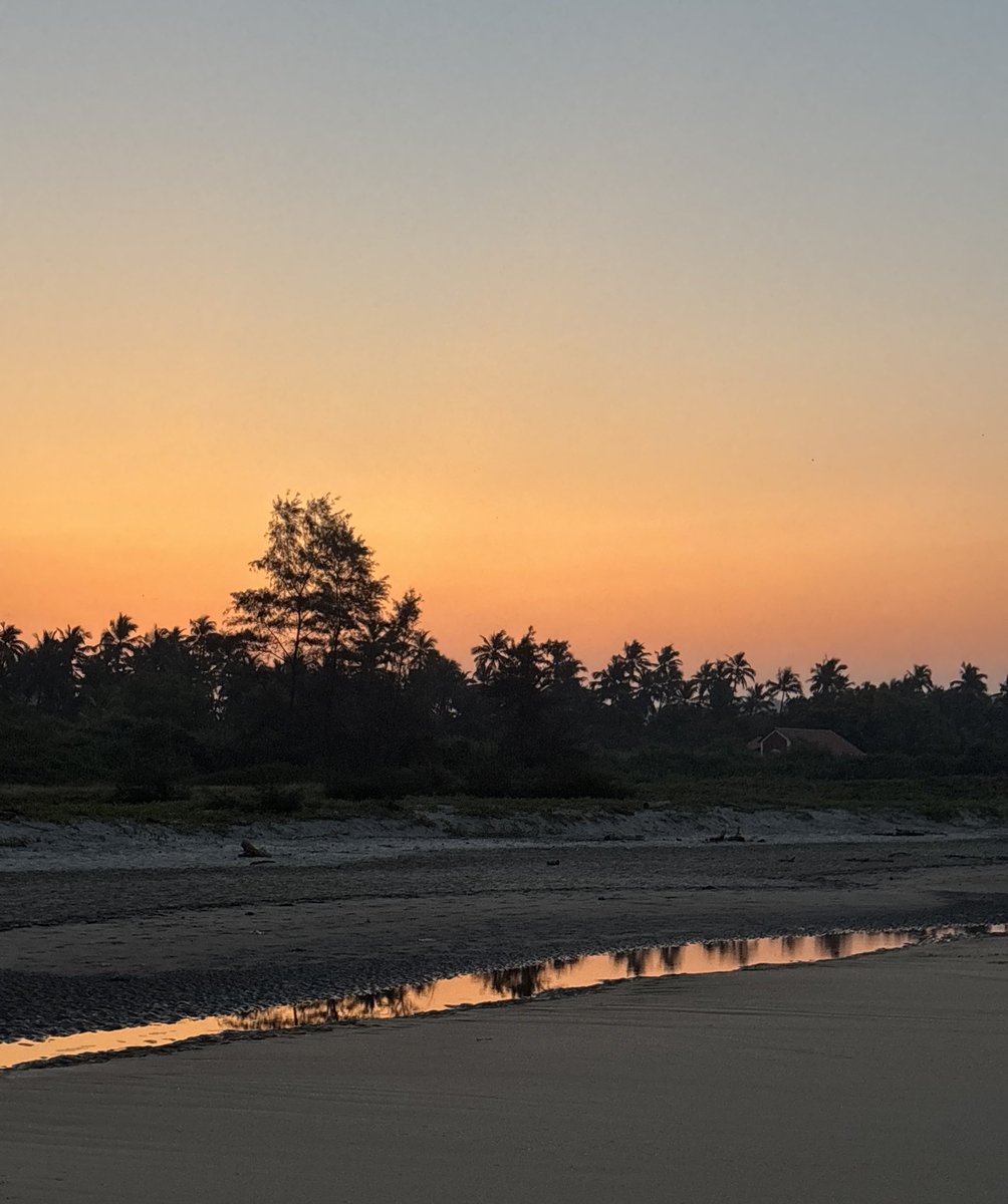 Everyone is impressed by
Artificial Intelligence.

Very few people try
Natural Intelligence.

Sunrise.