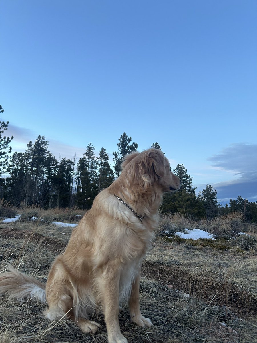 Chris Clements tweet media