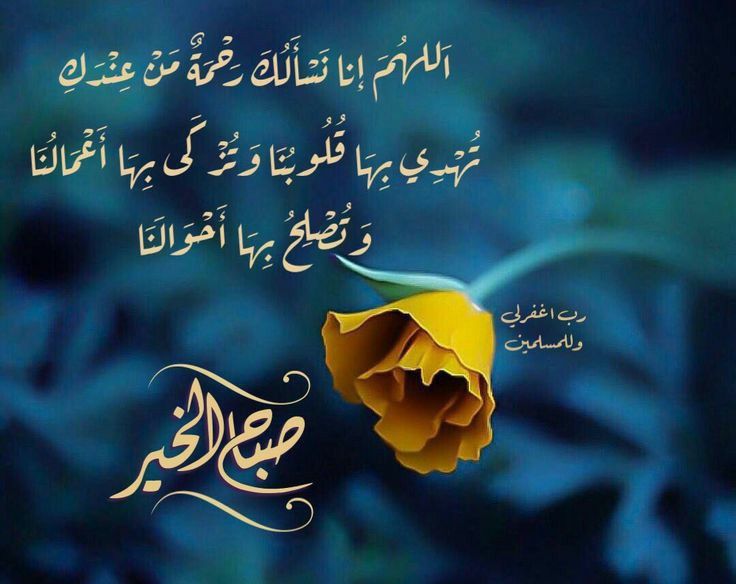 Road Captain tweet media