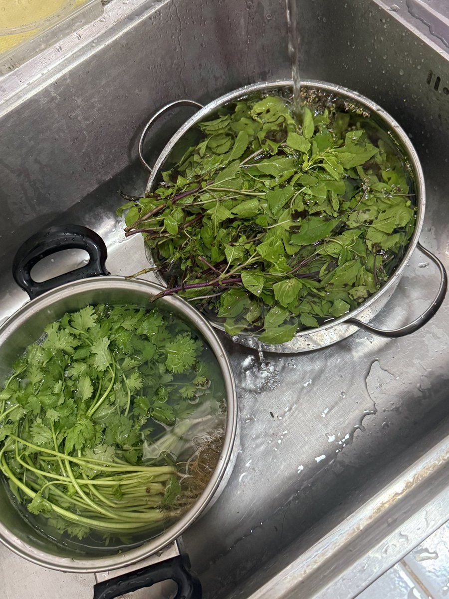 เราใช้ที่ล้างผักตลอดนะ ทำกินเองสบายใจมากๆ ประหยัดด้วย ที่เห็นผักเยอะๆคือ มัดละ10บาทเอง แต่ทุกอย่างที่เข้าปากเราต้องสะอาด ล้างไข่พยาธิ สารตกค้างยาฆาแมลง กะน้ำเอา อันนี้เราใช้2-3ปั้ม ผักสะอาดมากๆ จำเป็นจริงๆร้อยนิดๆใช้ได้นานน

: s.shopee.co.th/15X727yHm
: s.lazada.co.th/s.ZddBS4?cc&t=…
.