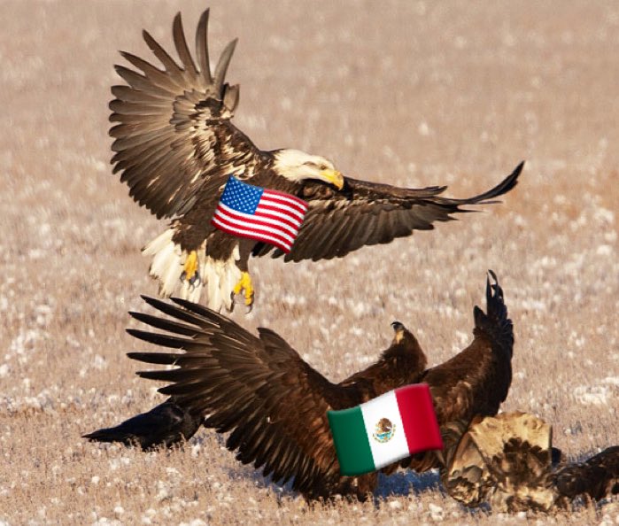 JacobBSpeaks's tweet photo. Team USA takes down Mexico for the first time in 20 YEARS 🦅

#WorldBaseballClassic https://t.co/942roFIhXW