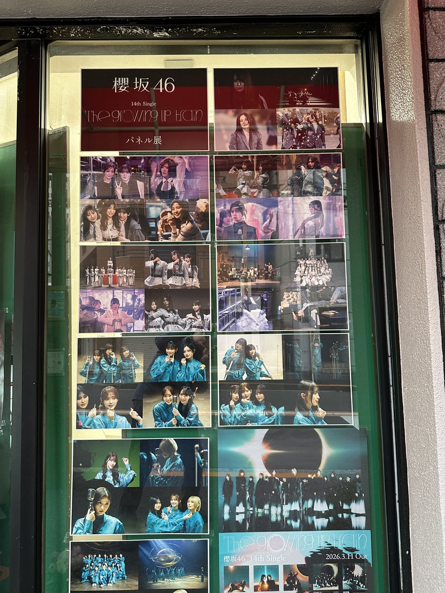 櫻坂46/The growing up train】 📌📌パネル展 開催中📌📌 今日から