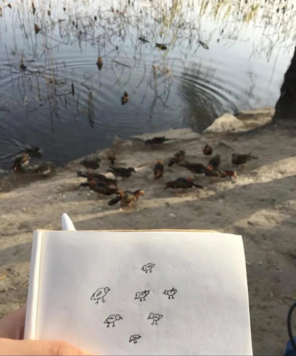 inkblotistan's tweet photo. go ahead, draw some ducks https://t.co/bL9JiFVKzS
