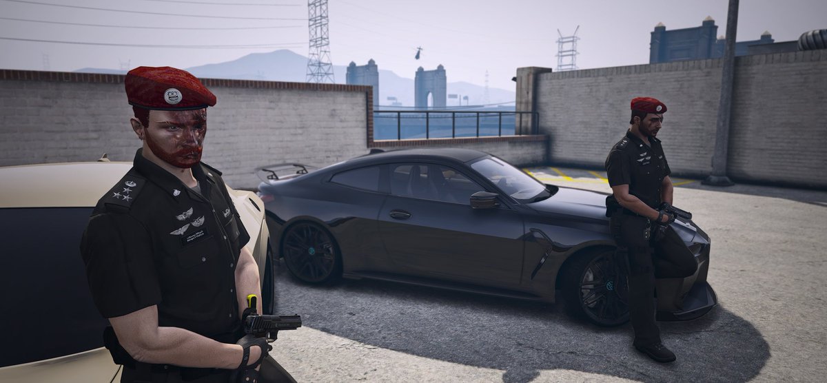 Fox Rex 🦊 ' tweet media