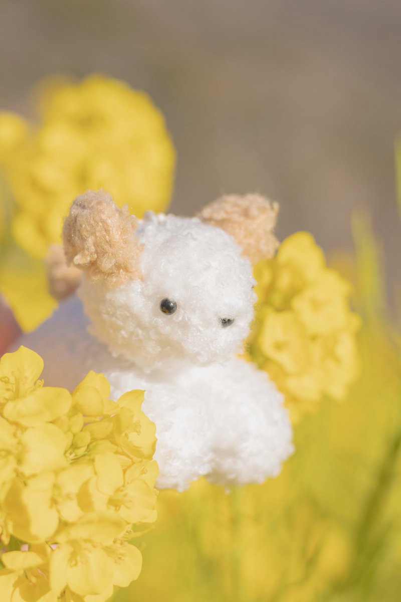 えちね📛 tweet media