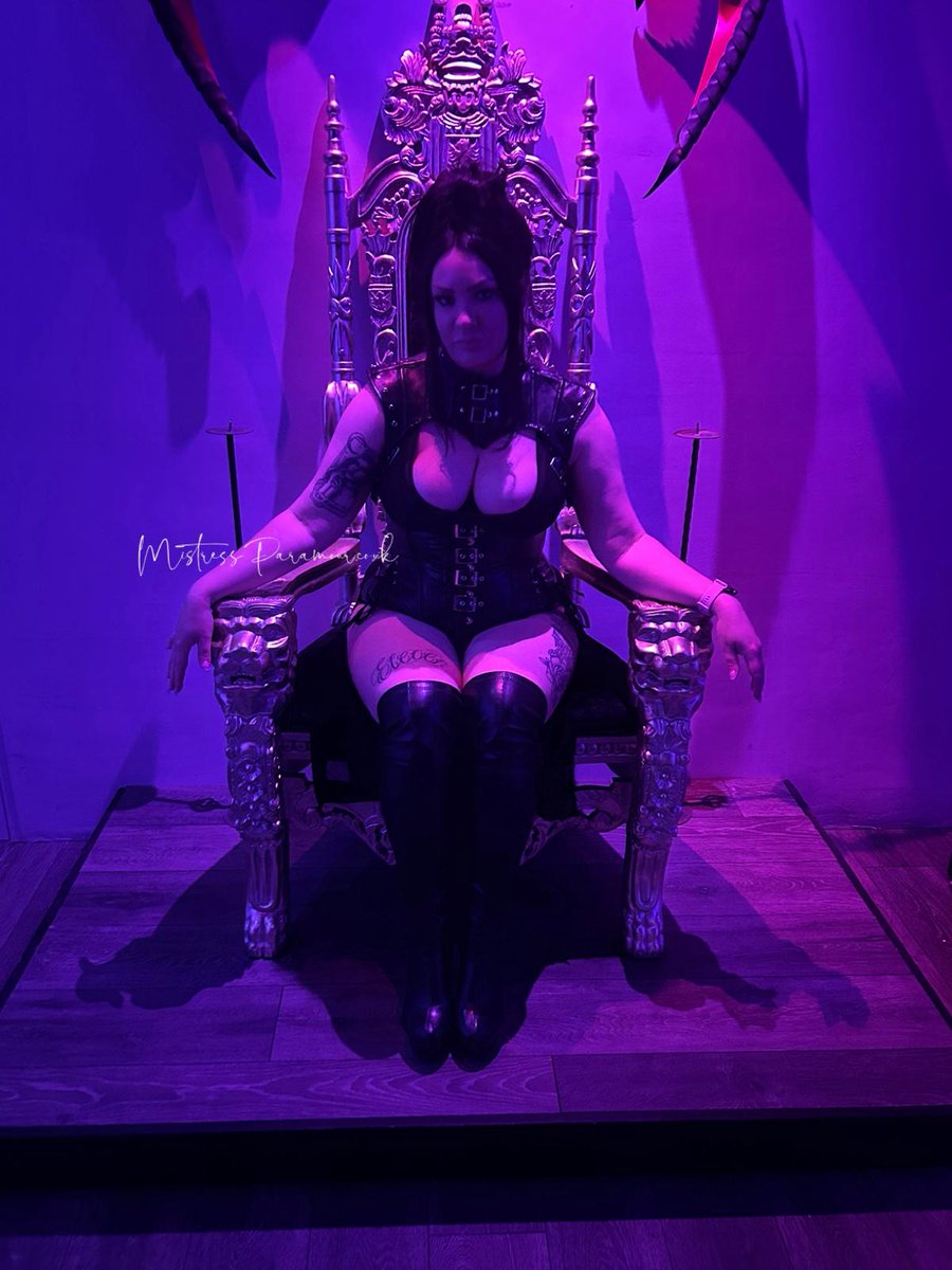 DOG DOMINIC tweet media