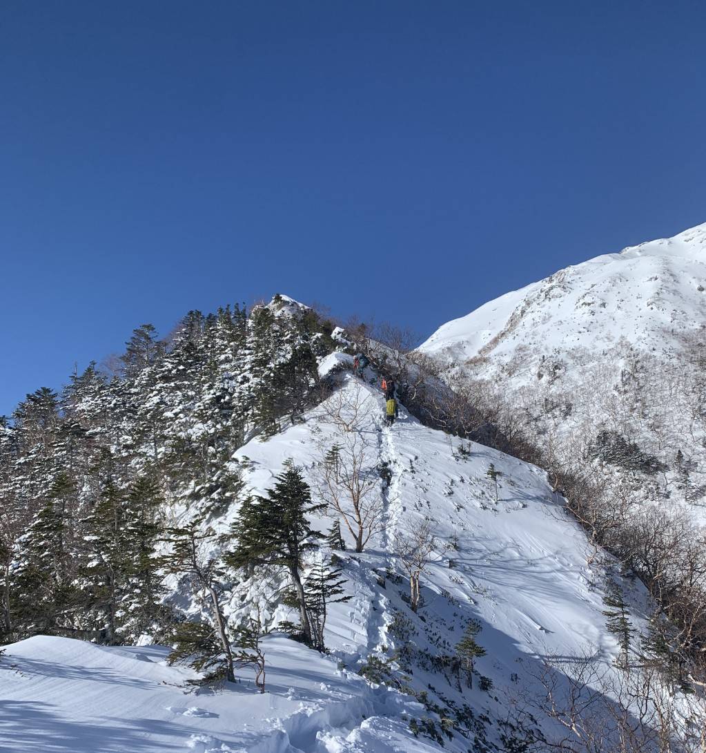 東京大学運動会スキー山岳部(TUSAC) tweet media