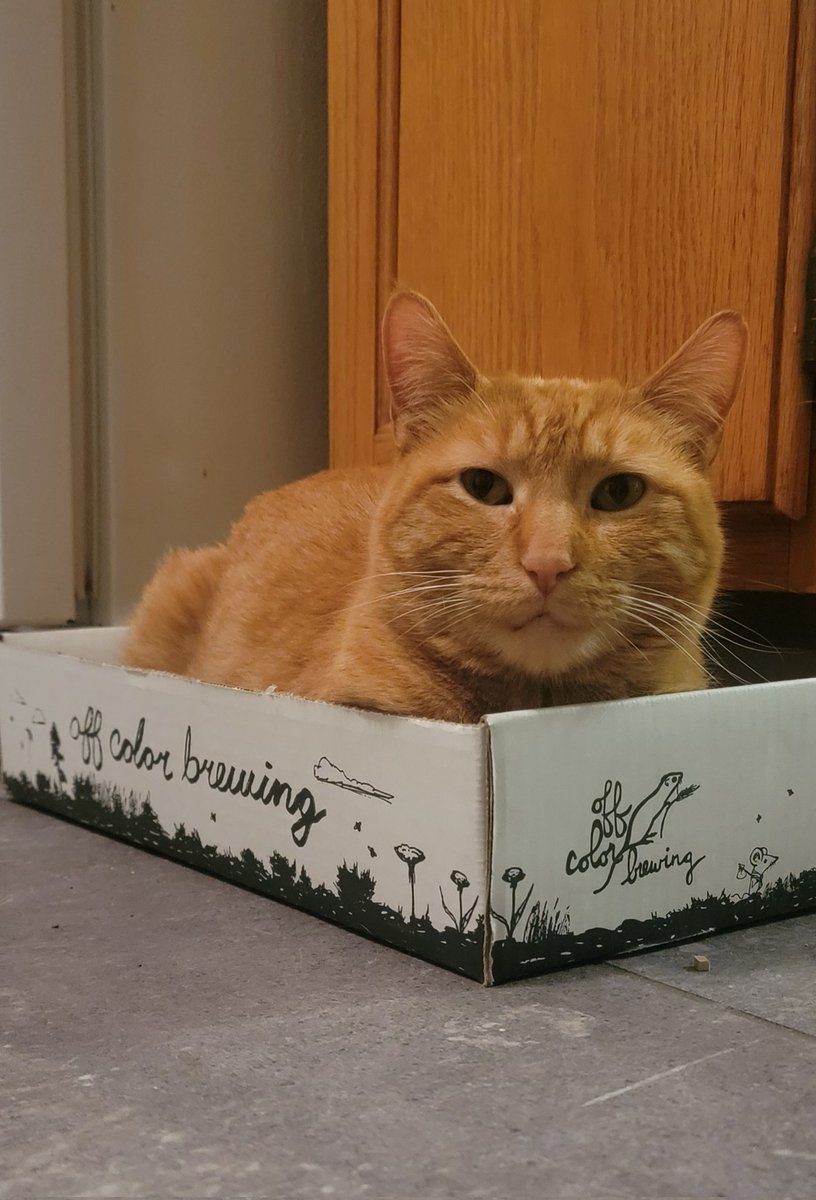 Kate Quinn tweet media