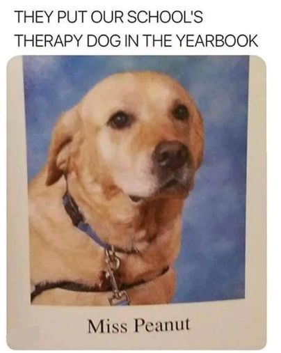 Eric Alper 🎧 tweet media