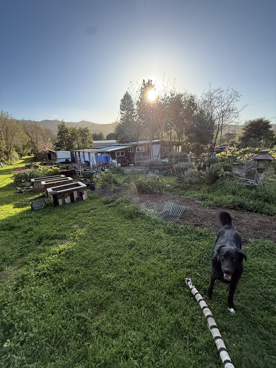 blake jamieson tweet media