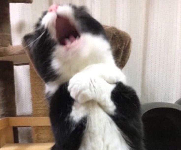 Teddy 🧸 tweet media