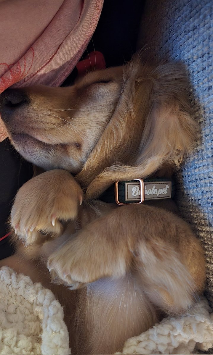 Jonah Scott tweet media