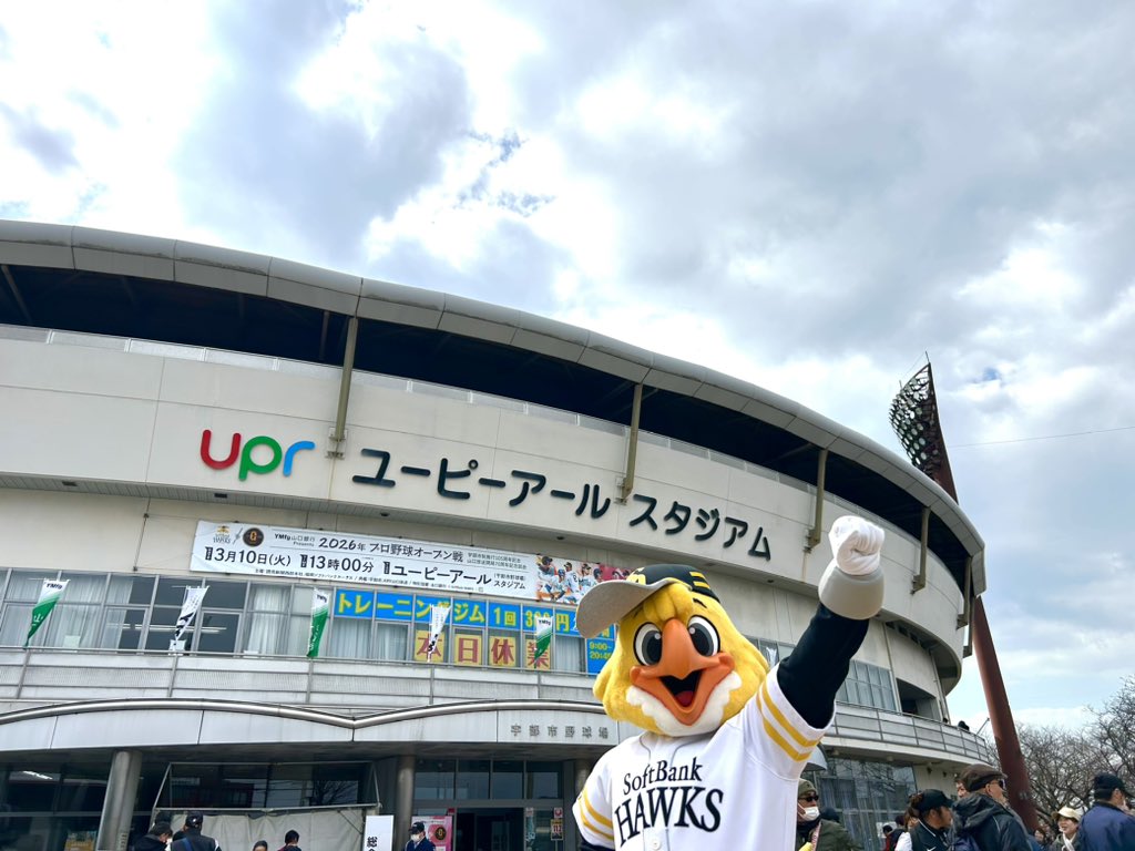 ハリーホーク(公式) tweet media