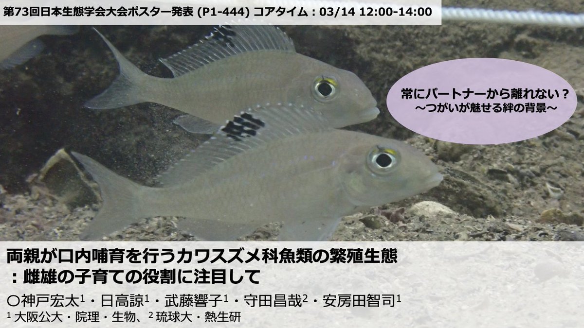 Laboratory of Animal Sociology, OMU, JPN tweet media