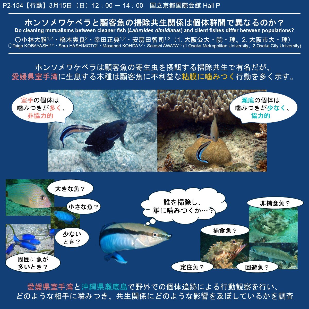 Laboratory of Animal Sociology, OMU, JPN tweet media