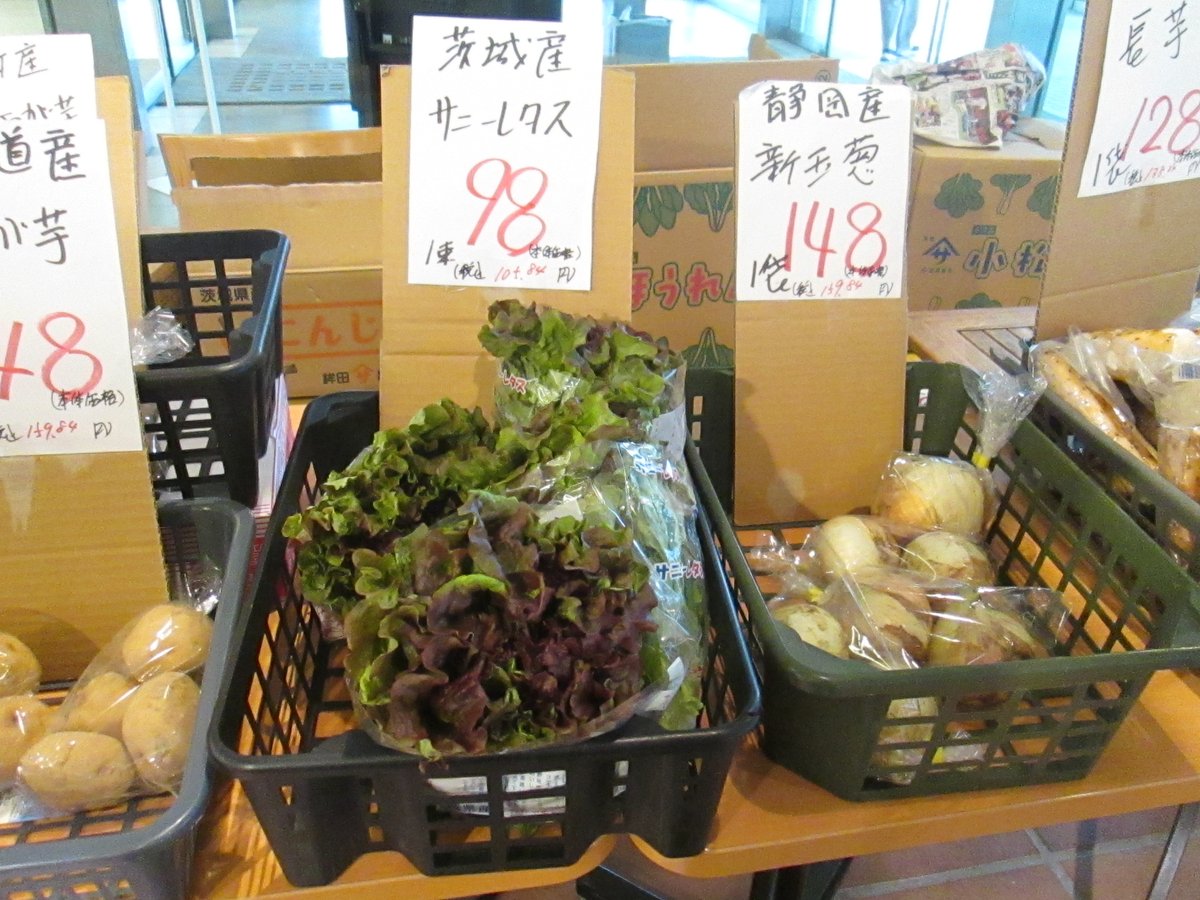 TFTビル【公式】 tweet media