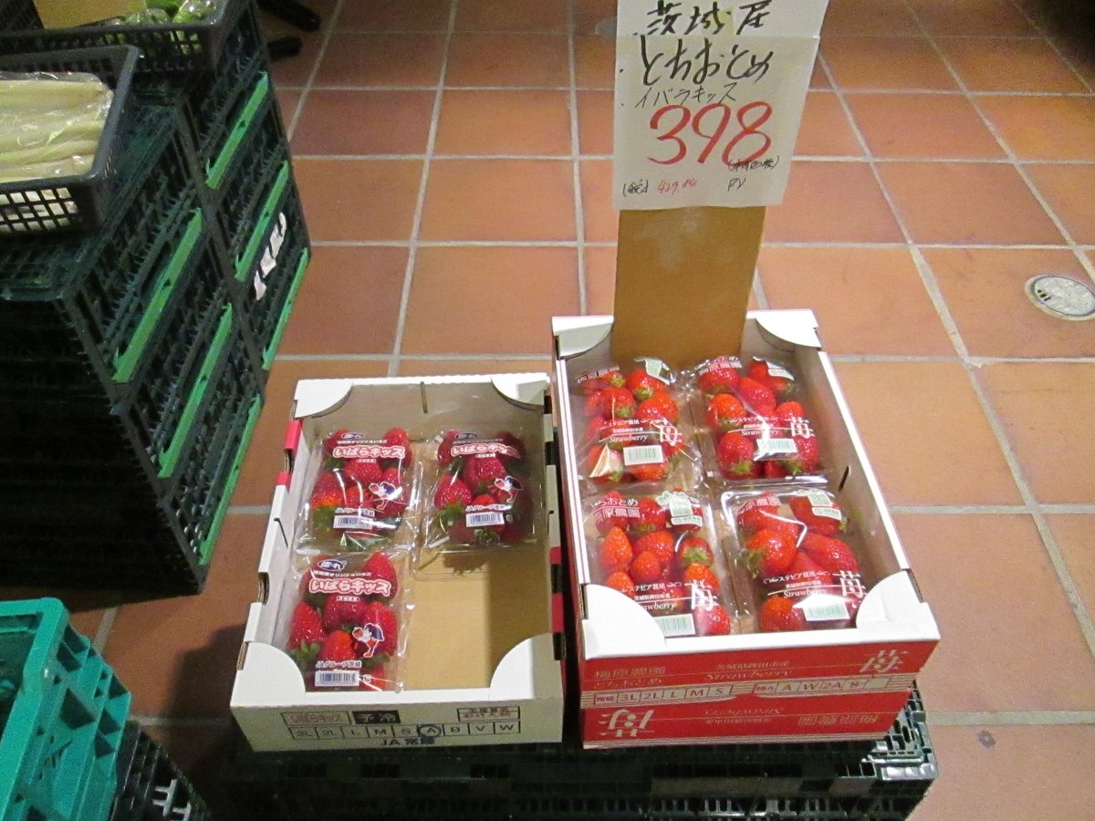 TFTビル【公式】 tweet media