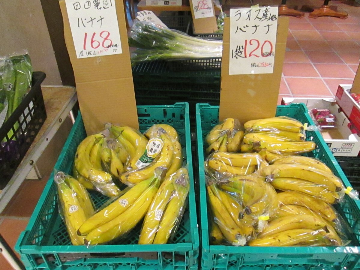 TFTビル【公式】 tweet media