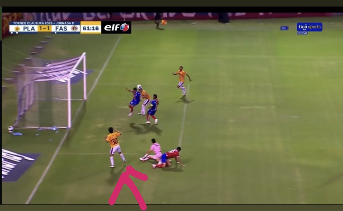 Jorge Coto 🐯 tweet media