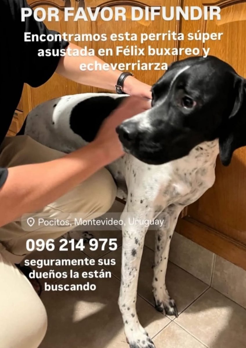 Diego Martini Lemos tweet media