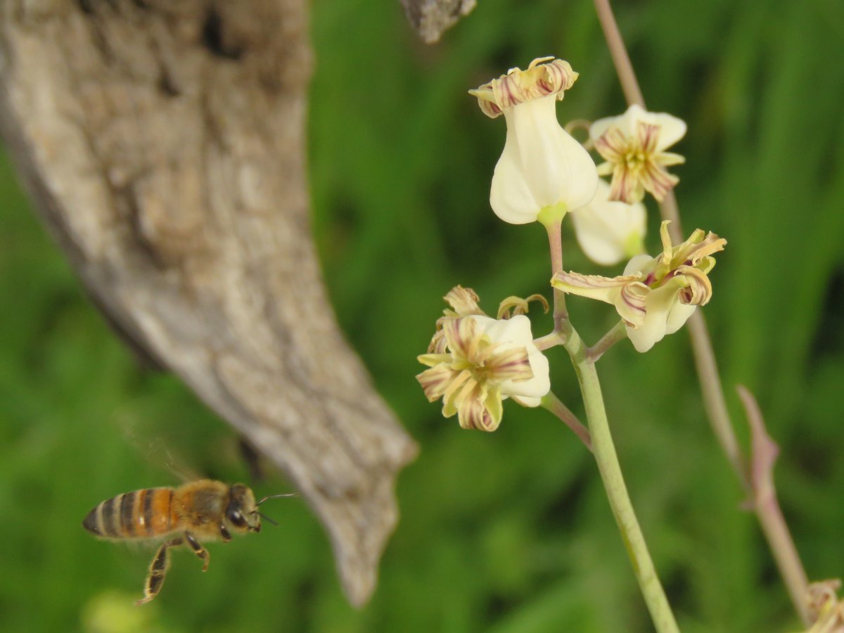 Melissa Crytzer Fry tweet media