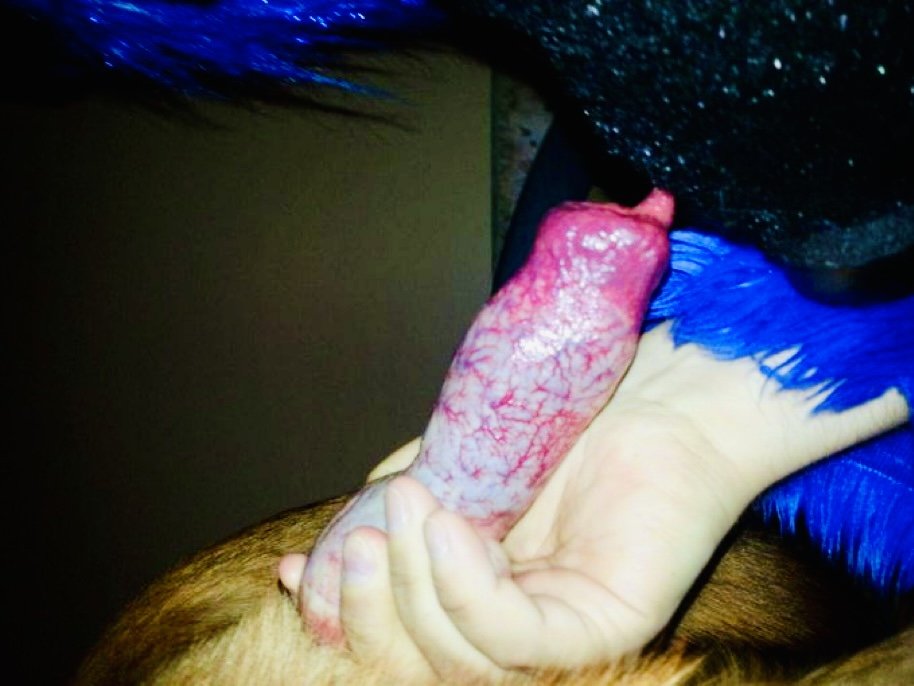 ariiiikinks's tweet photo. #dogknot #dogslut #knotty #k9girls #dogbitch #k9slut #k9bitch #taboo #dogknot #lovedog #fetishes #zoosexual #Zoo #beastiality #dogknot #dogslut #knotty #k9girls #dogbitch #k9slut #zoolove #k9bitch #taboo
https://t.co/51ZvlIYLi2 https://t.co/CW9hUHRVVQ