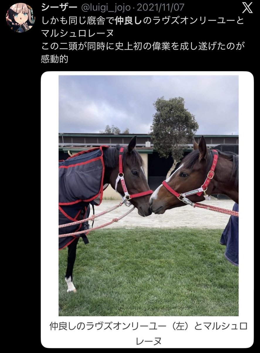 ウマ娘 ラヴズオンリーユーの新衣装か マルシュロレーヌのパペットと