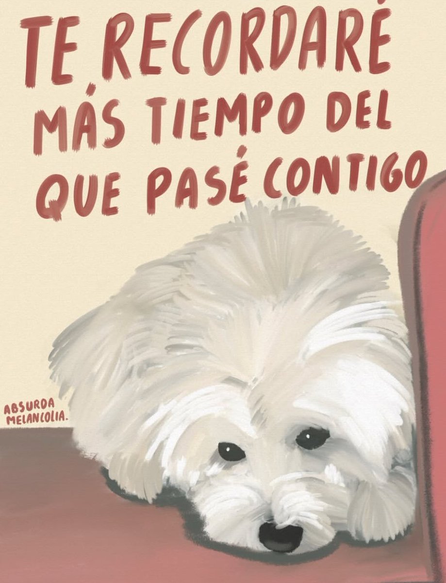 Absurda Melancolía (@absurdamela) on Twitter photo 