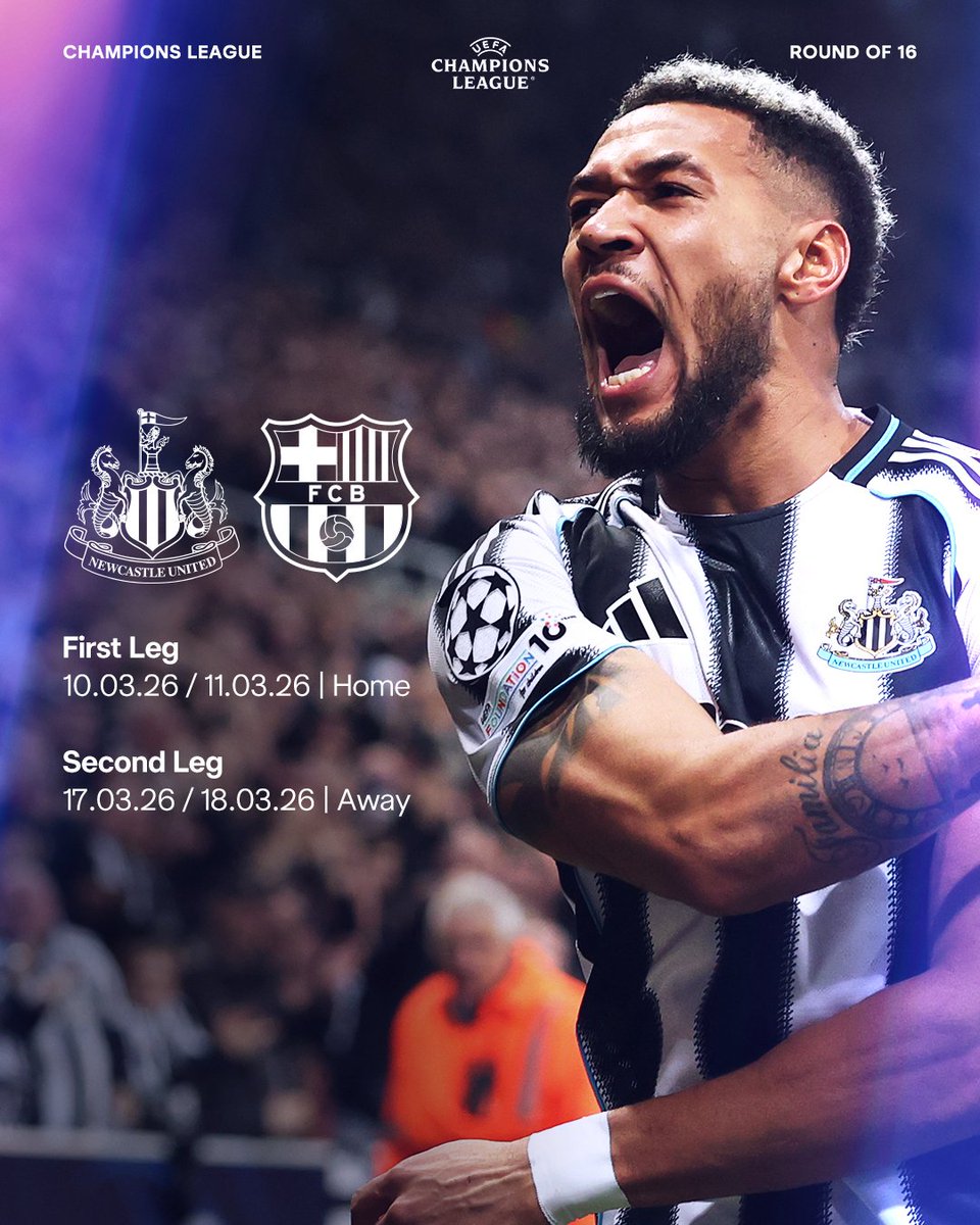 Toon Army Chicago tweet media