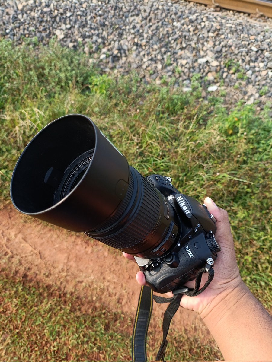 Arch, or アーチ tweet media